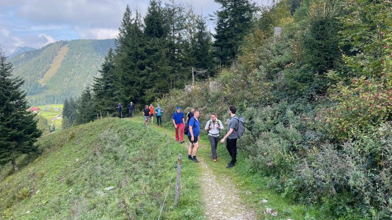 Wanderung Porsche Informatik Feistenau Schafberg