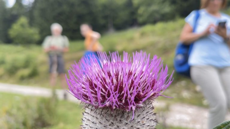 Randonnée au Faistenauer Schafberg