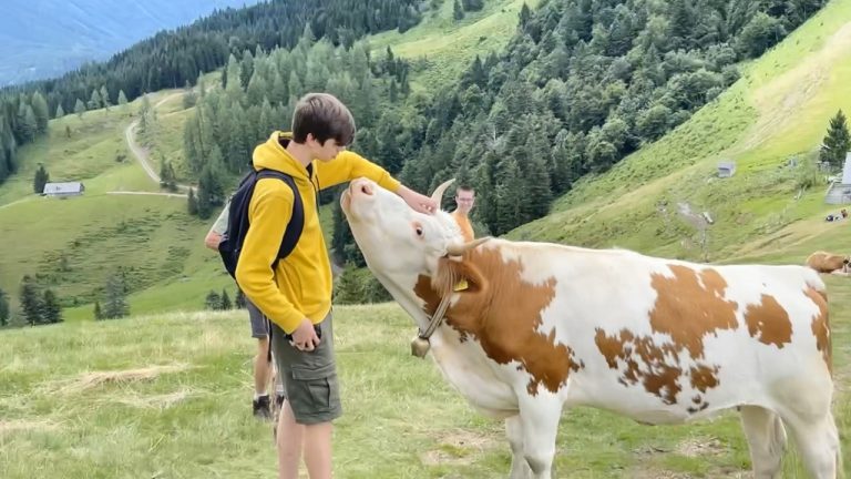 Escursione al Faistenauer Schafberg