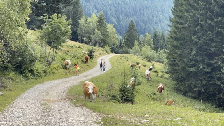 From Keflau to the Loipersbacher height