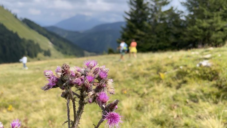 Von Keflau auf die Loipersbacher Höhe