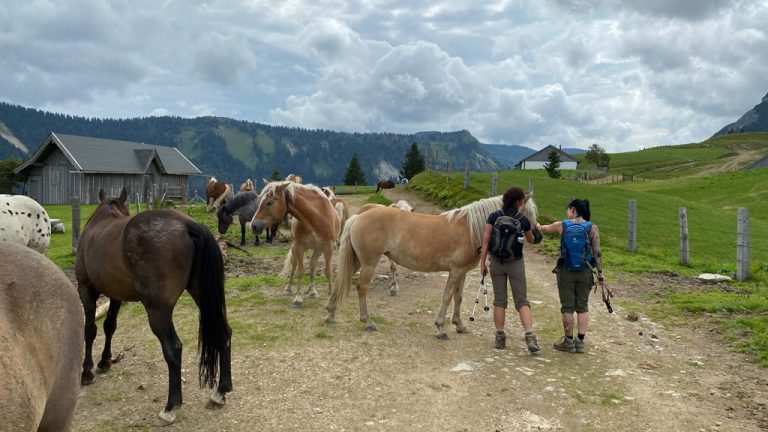 Hike Feichtenstein Gruberalm