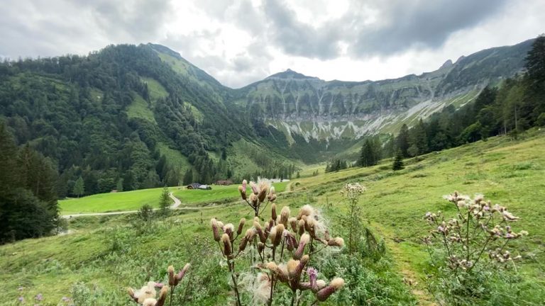 Wanderung Feichtenstein Gruberalm