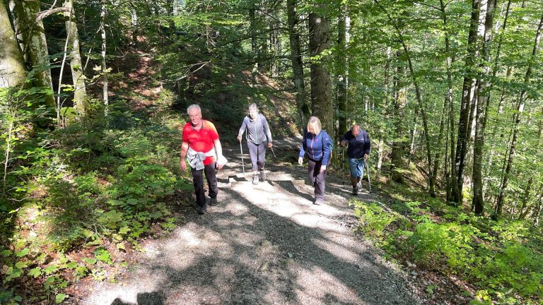 Hike Hintersee? Feichtenstein ? Gruberalm