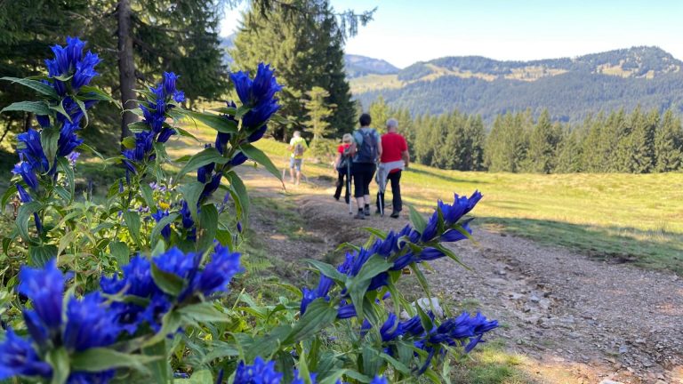 Wanderung Hintersee – Feichtenstein – Gruberalm