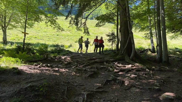 Hike Hintersee? Feichtenstein ? Gruberalm