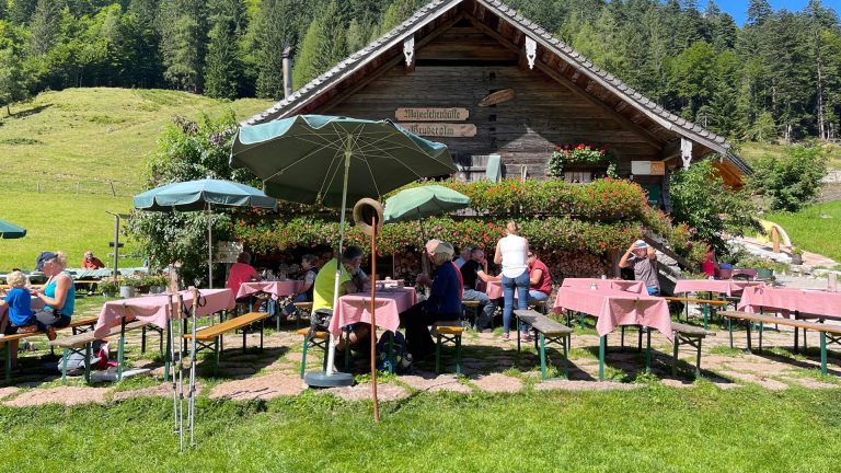 Fai un'escursione a Hintersee? Feichtenstein? Gruberalm