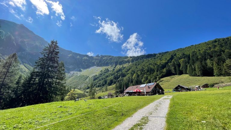 Wanderung Hintersee – Feichtenstein – Gruberalm