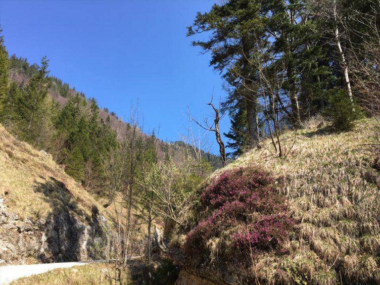 Hike to the Eibensee