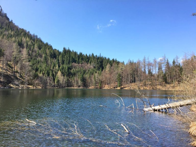 Randonnée vers l'Eibensee