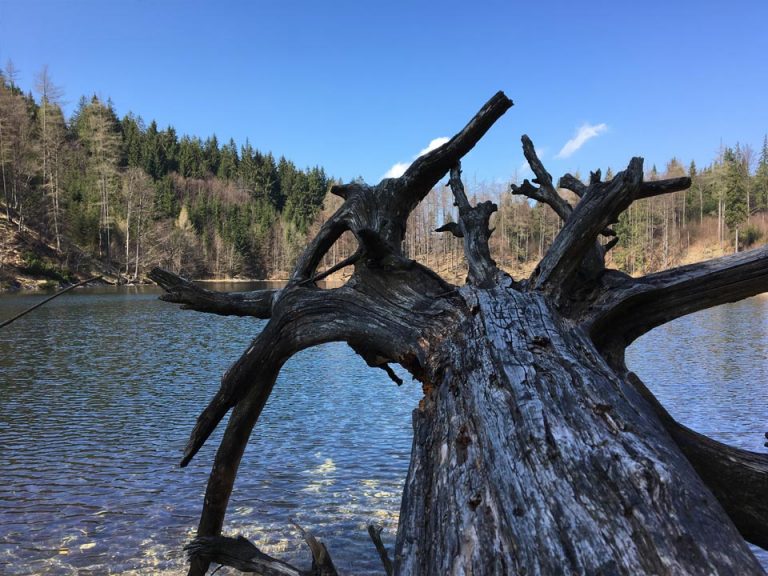 Randonnée vers l'Eibensee