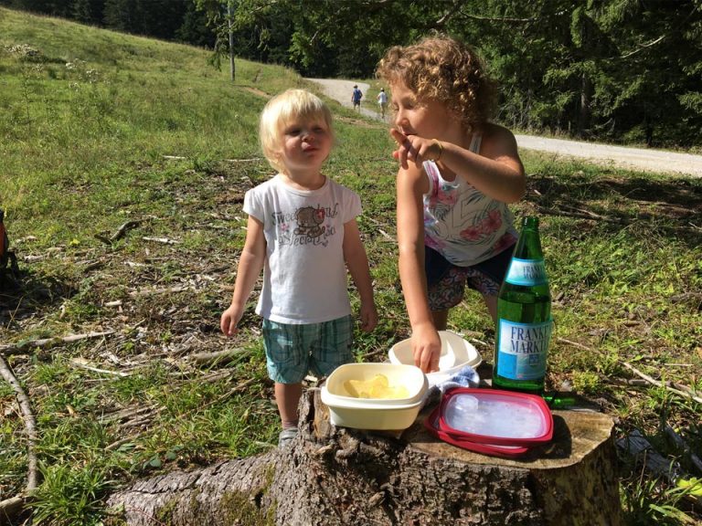 Wanderung zur Bartlhütte