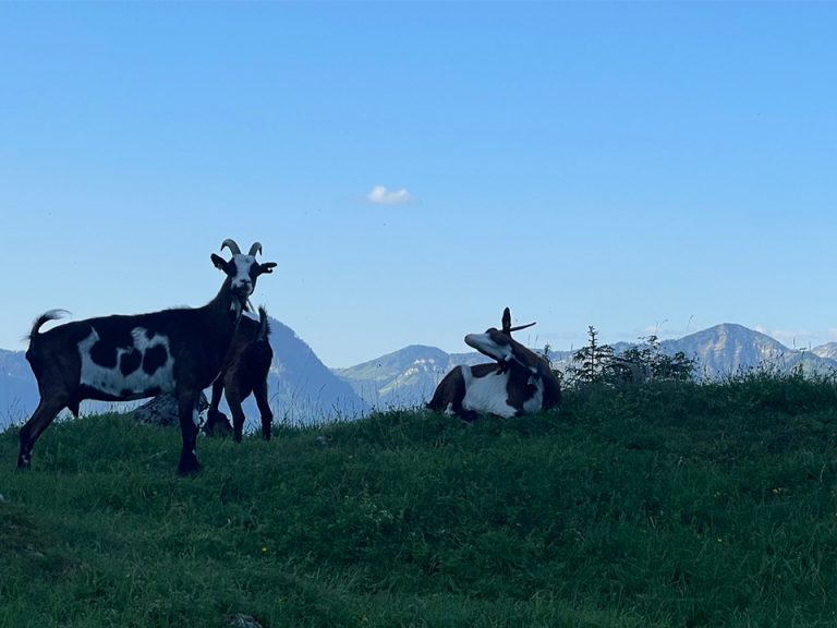 Hiking in the Fuschlsee region