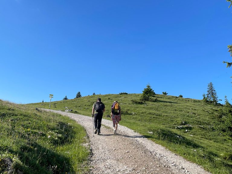 Escursioni nella regione del Fuschlsee