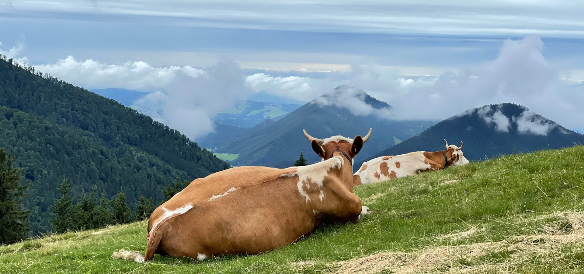 Guide de randonnée dans la région de Fuschlsee
